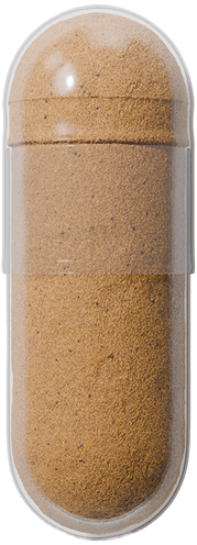 Akka capsule