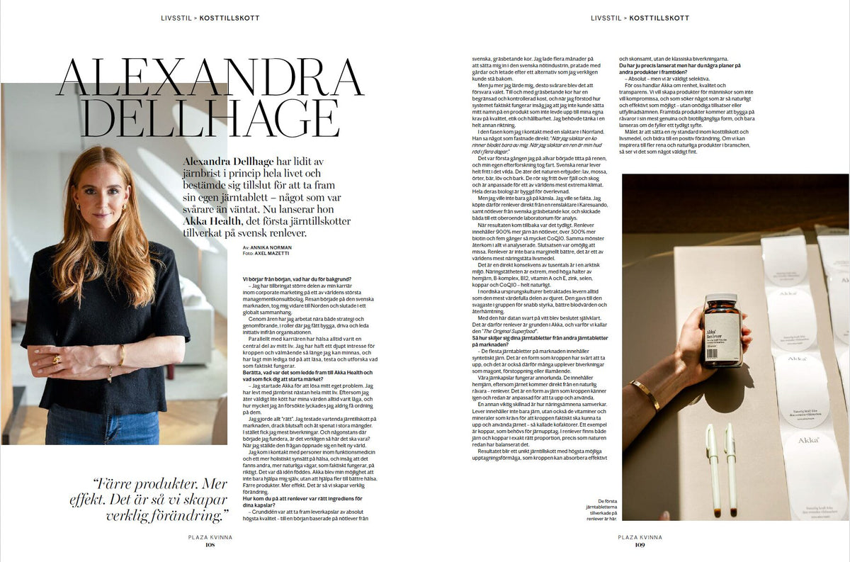 Article about Akka in Plaza, 25 February 2026